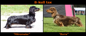 B_kull tax