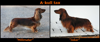 A-kullen tax parents