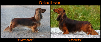 D-kullen tax parents